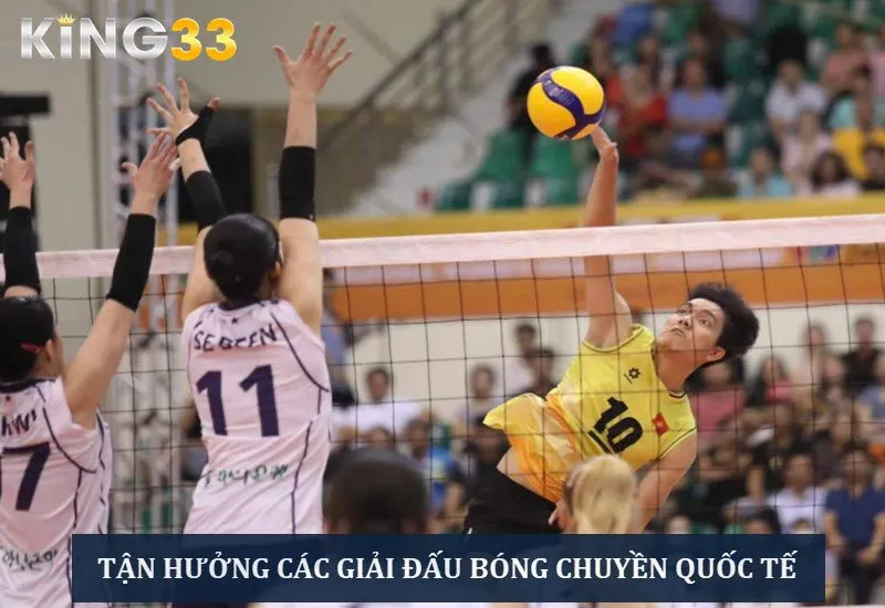 Tha hồ lựa chọn kèo cược tại sảnh chơi bóng chuyền